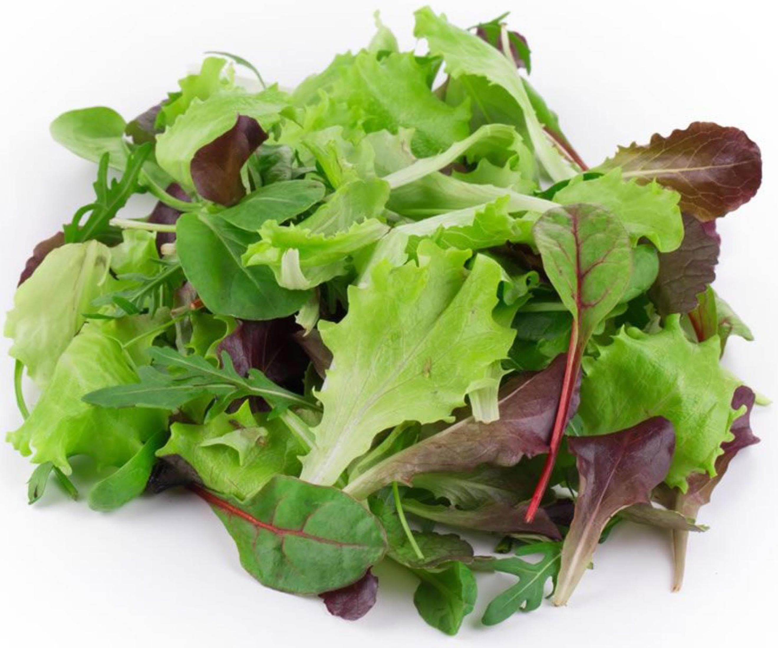 Mixed Salad Leaves