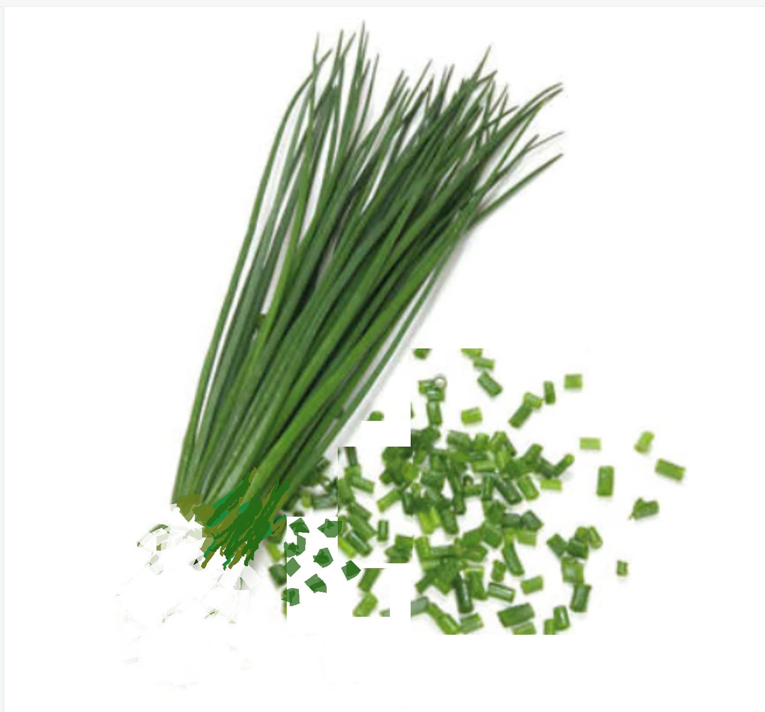 Herb Chives